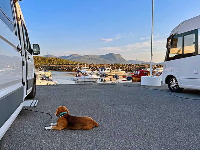 Mit-Hund-in-Norwegen-auf-einem-Wohnmobilplatz