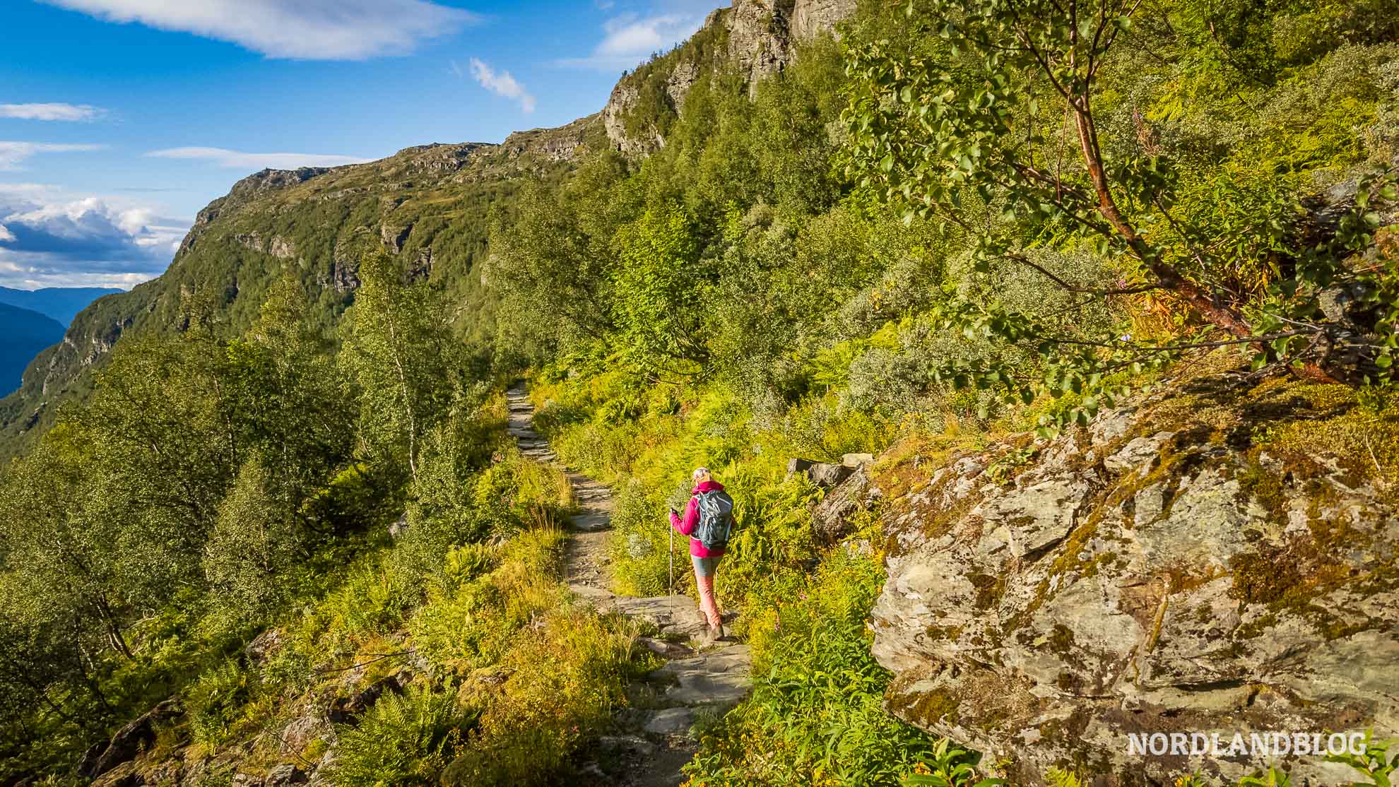 Munketrappene-Panoramawanderung-Koeniginweg-Hardangerfjord