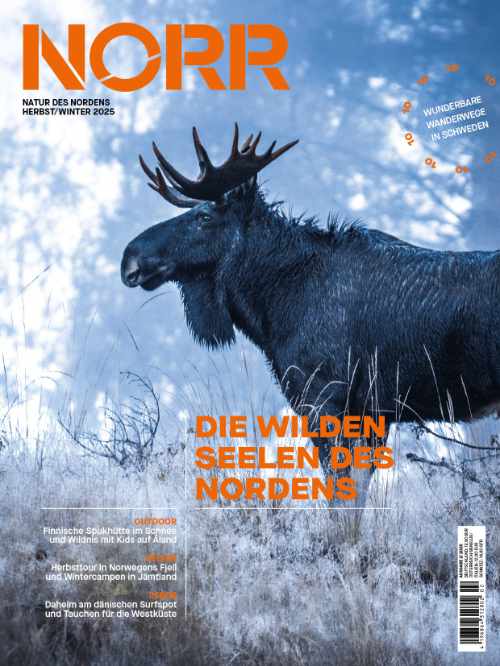 NORR TITELBILD AUSGABE HERBST WINTER 2025