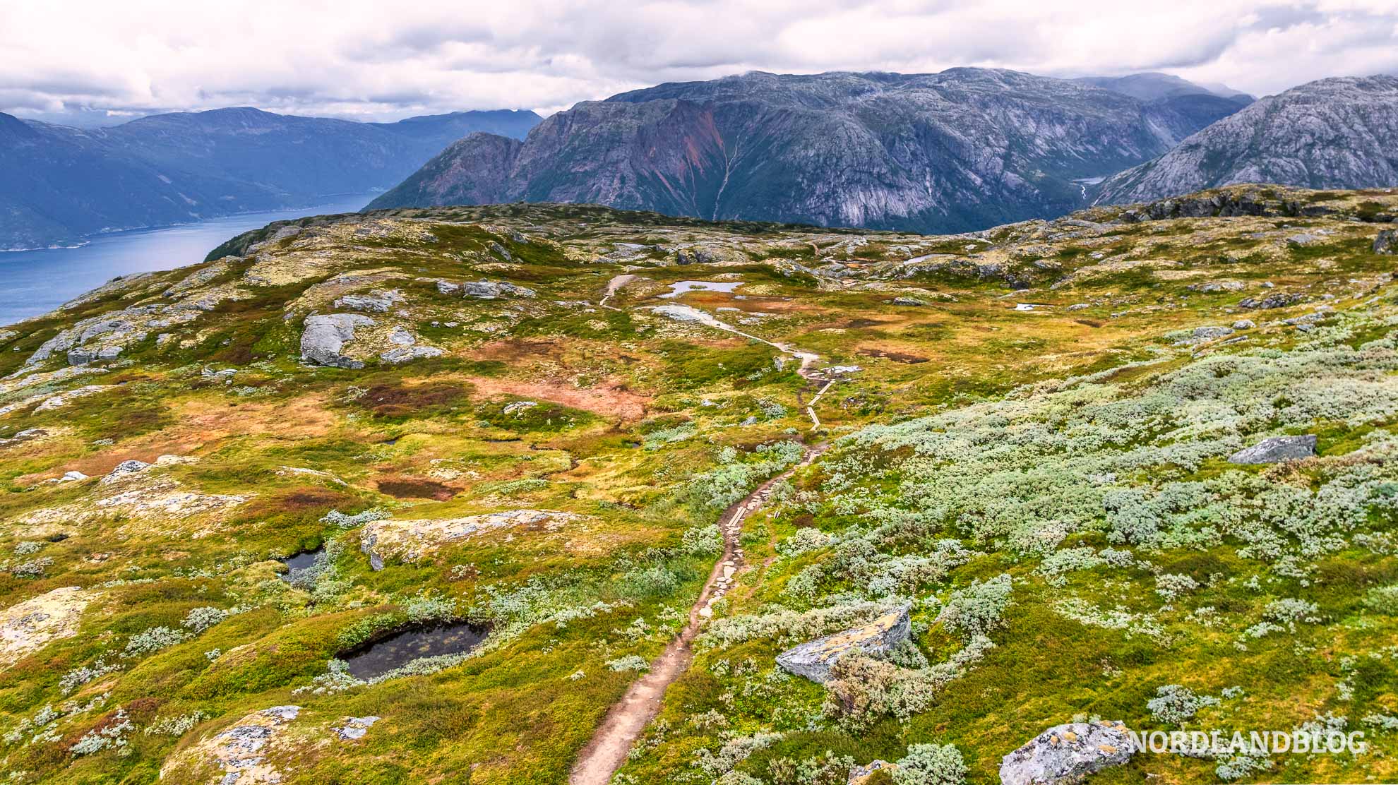 Panoramabild Wanderung Dronningstien Hardangerfjord