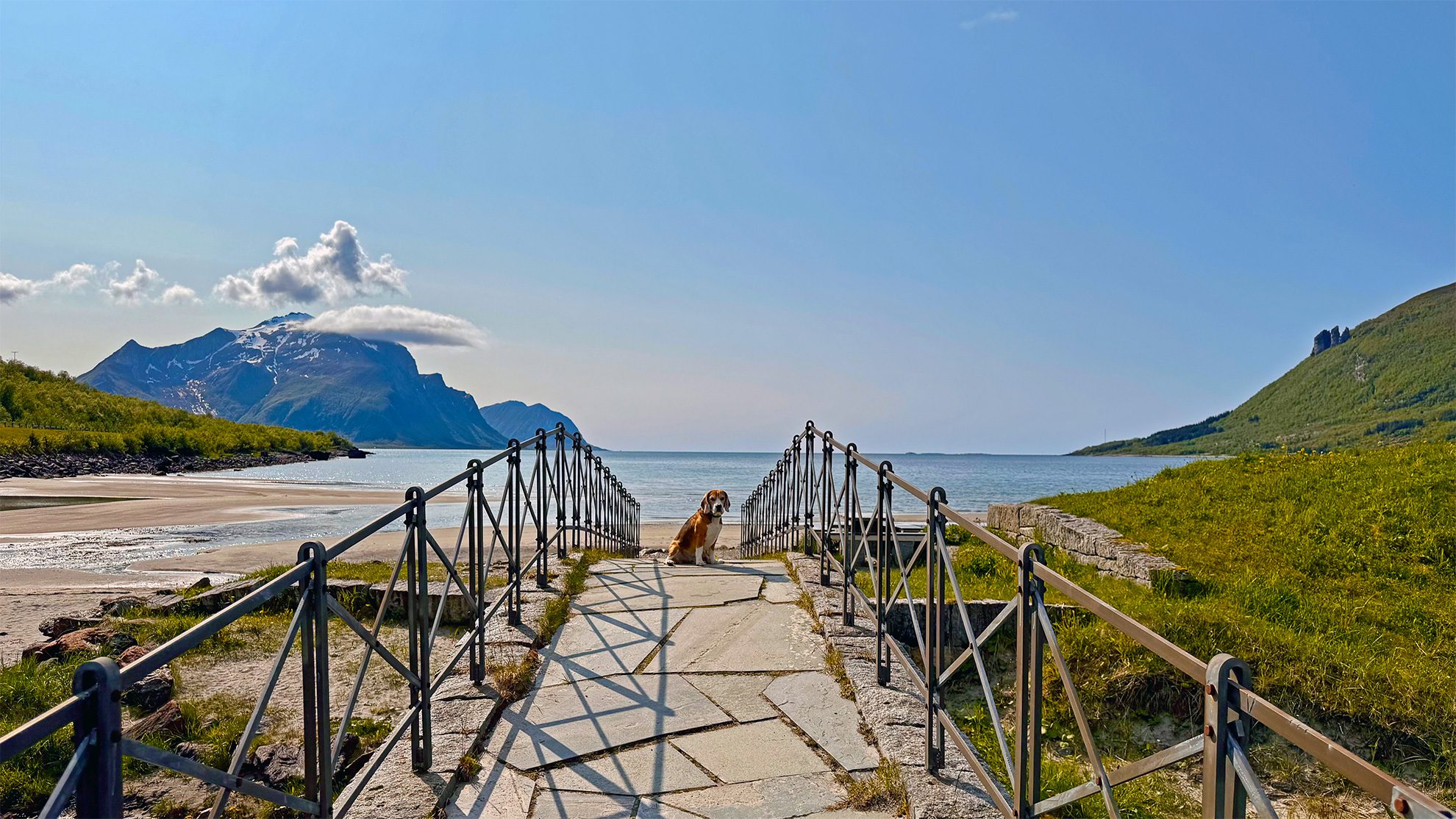 Titelbild-Mit-Hund-und-Wohnmobil-nach-Norwegen