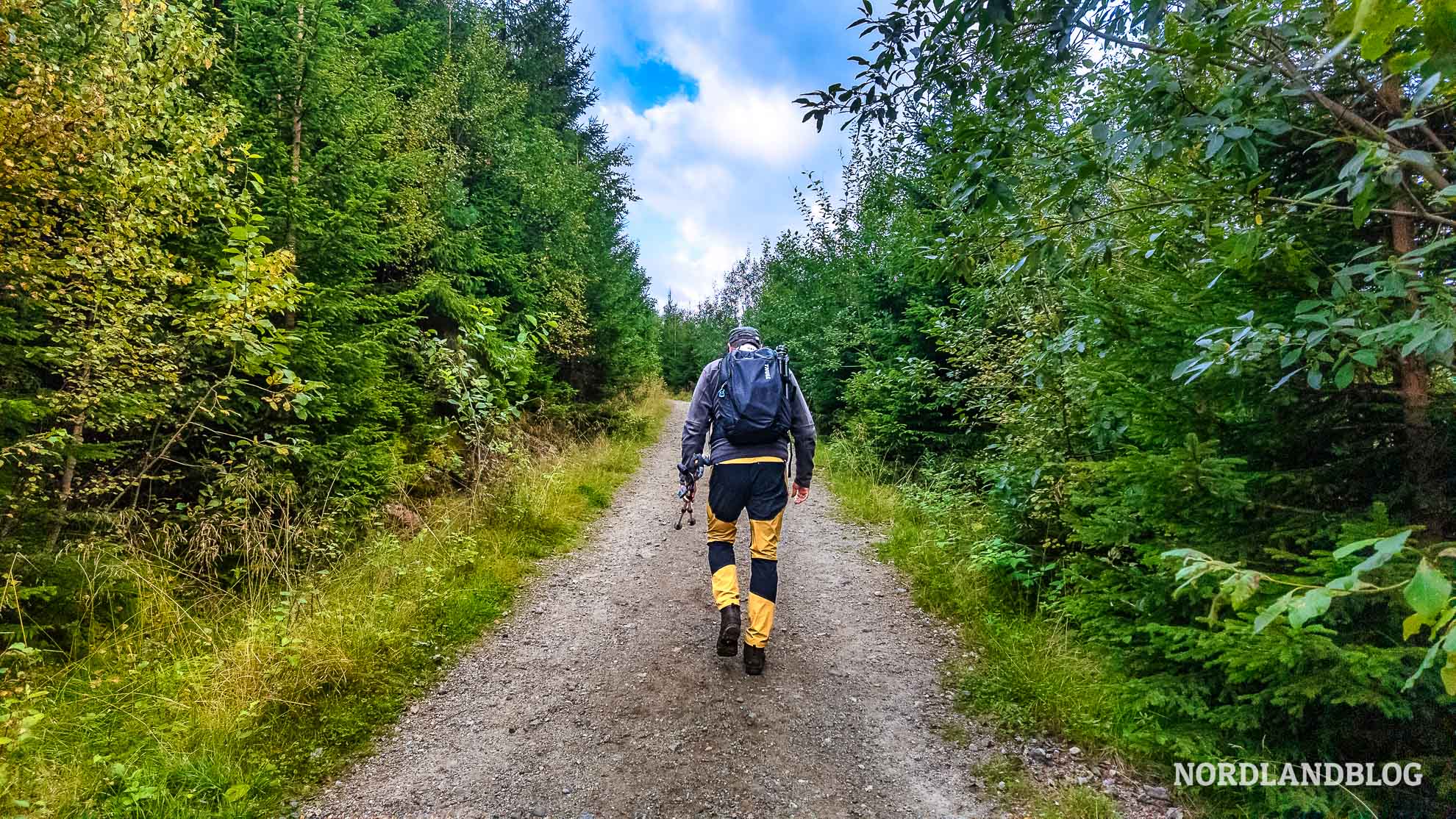 Traktorweg-zu-Beginn-der-Wanderung-entlang-des-Dronningstien