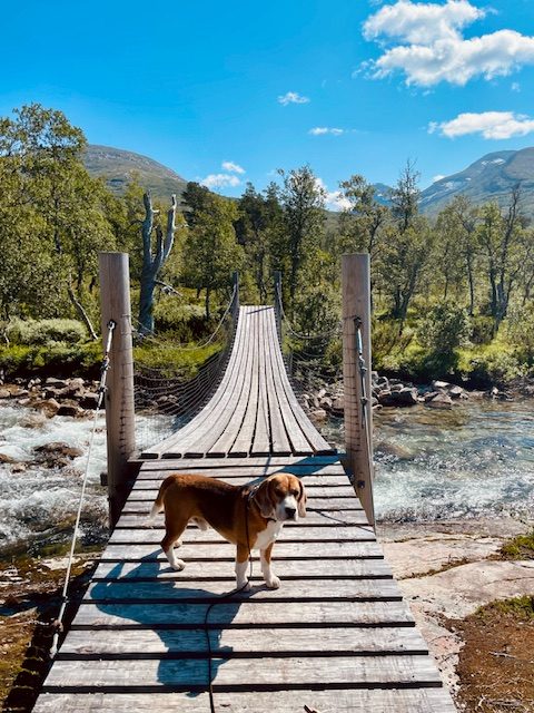 Abwechslungsreiche Wanderwege in Norwegen
