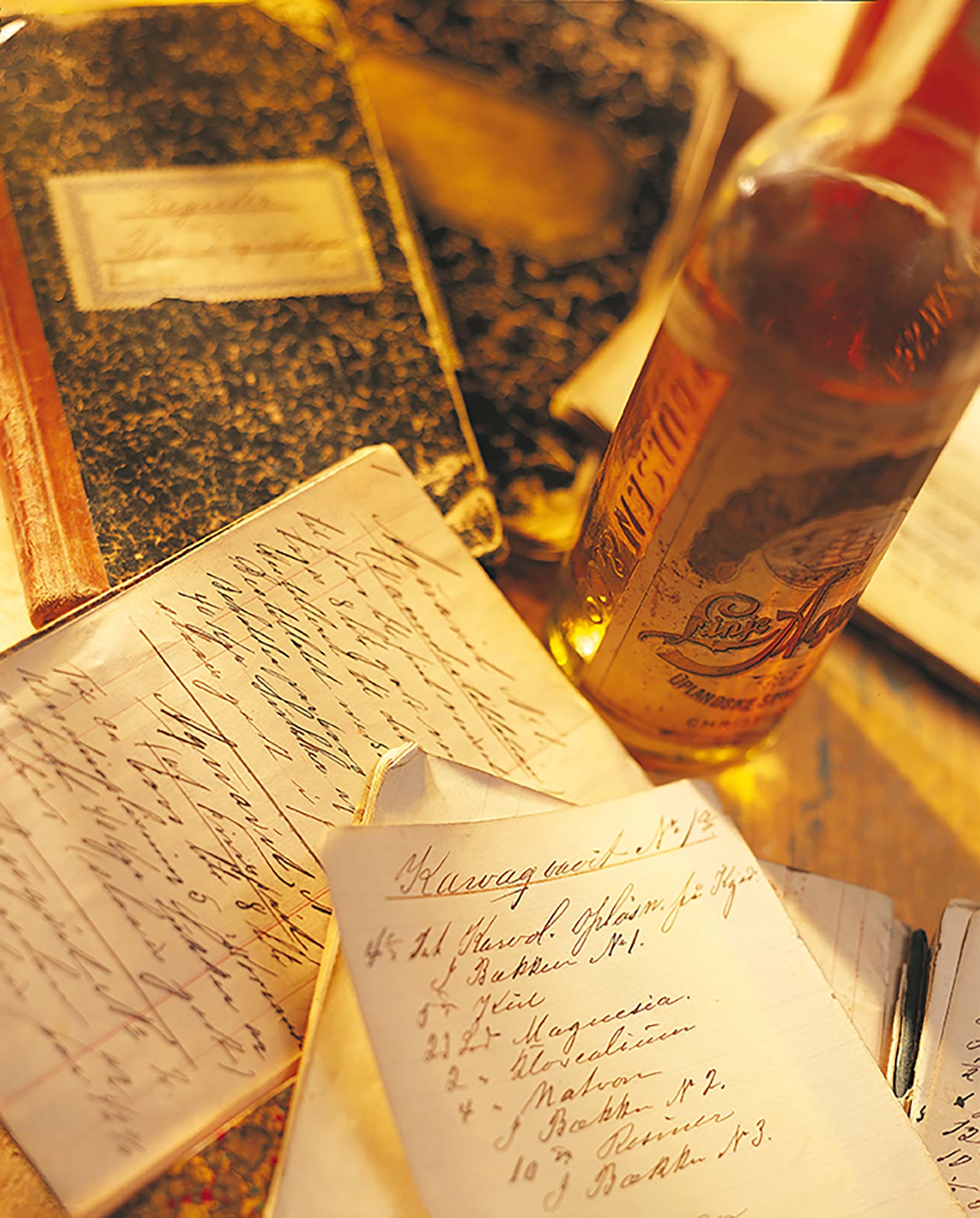 LINIE-Aquavit_Rezeptbuch_(c)-ANORA-LINIE-Aquavit