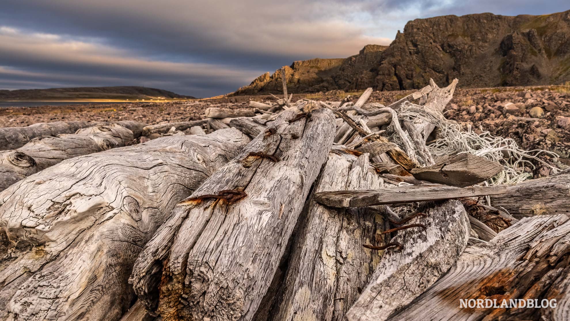 Treibholz Skjavika Hamningberg Finnmark Norwegen