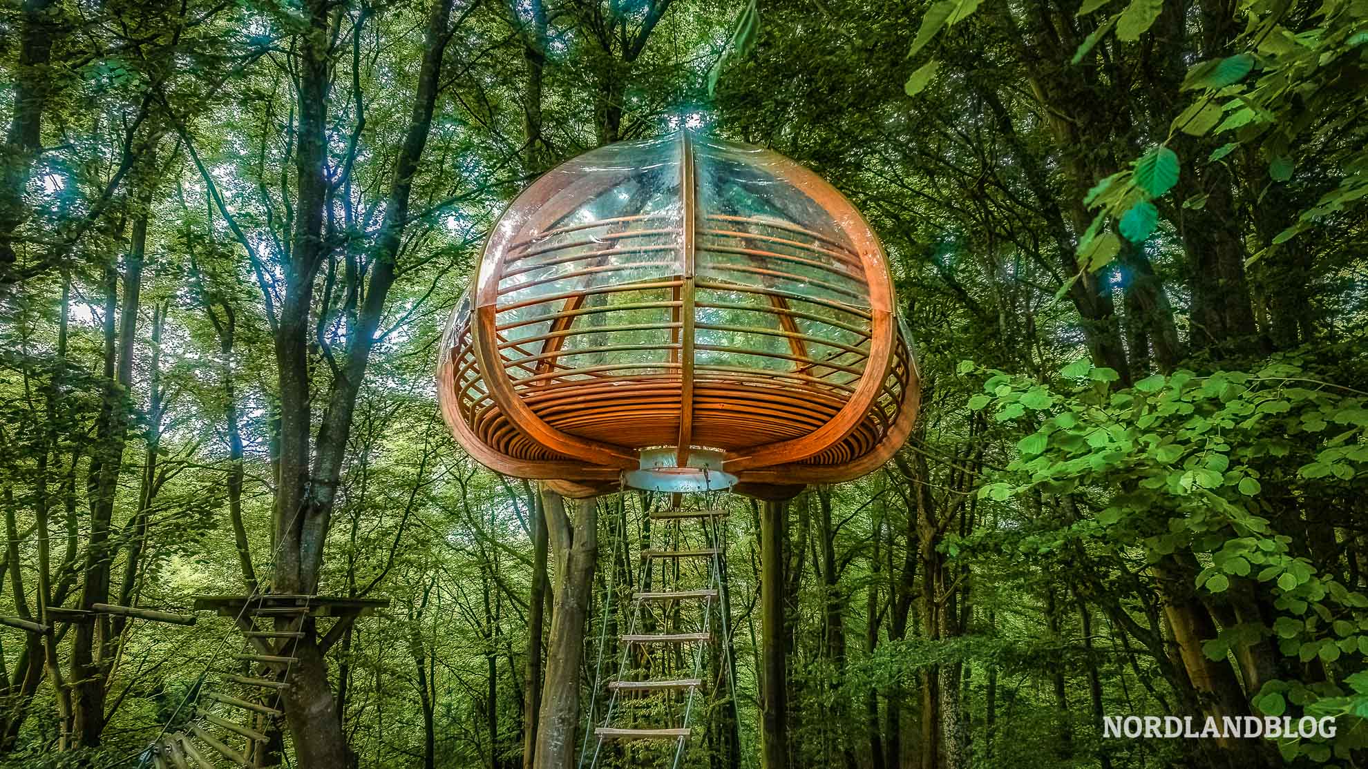 Baumhaus-beim-Pandekagehus-Wohnmobilreise-in-Sueddaenemark