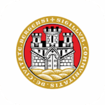 Parkering i Bergen Cover