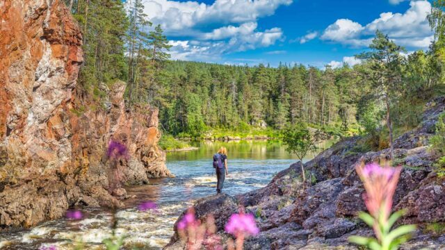 Titelbild Kleine Baerenrunde Finnland Oulanka Nationalpark