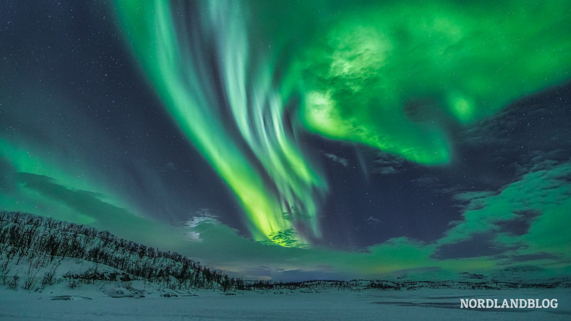Nordlicht in Abisko - Winterziele in Skandinavien mit Wohnmobil