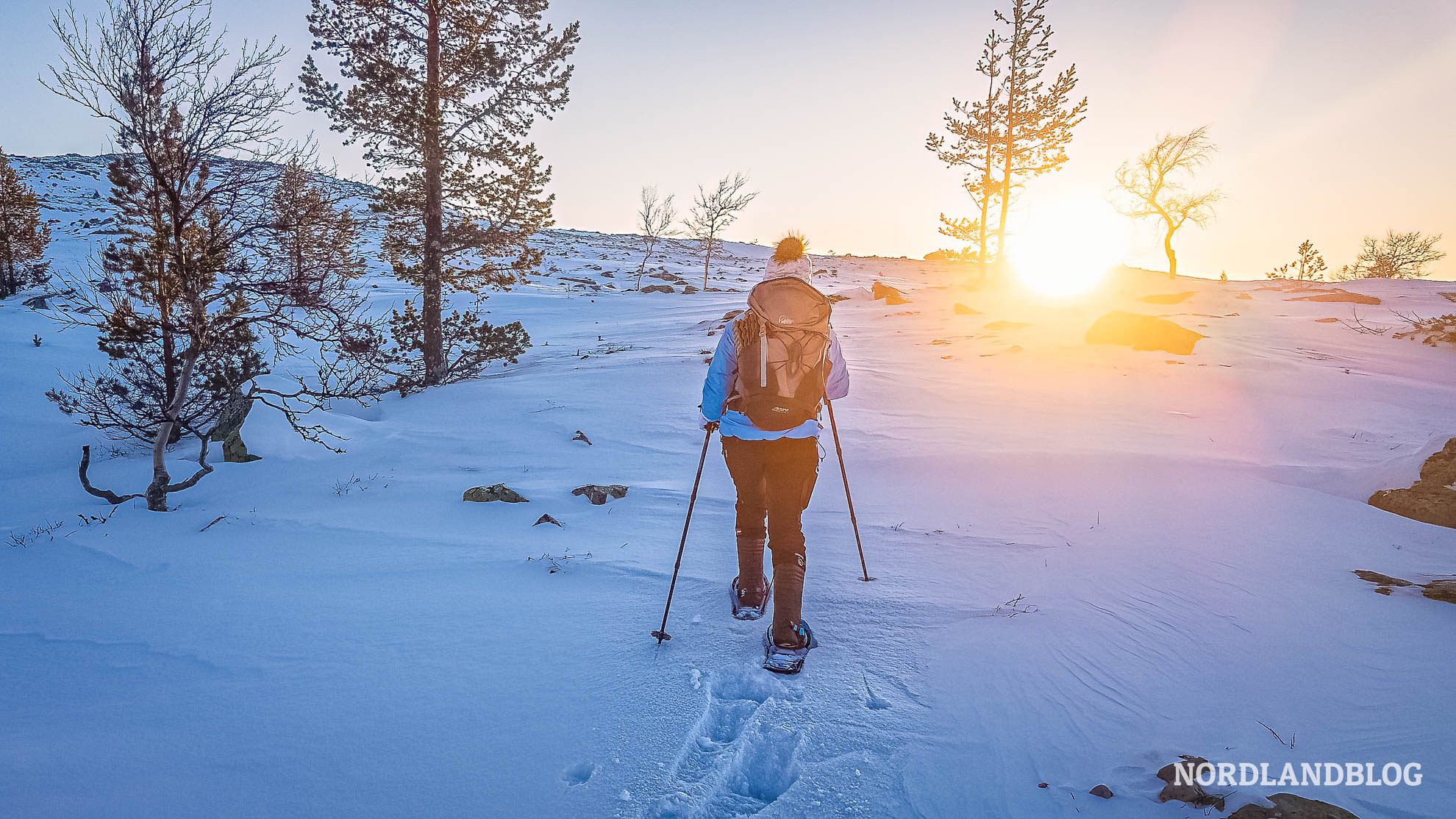Schneeschuhwanderung Femundsmarka Norwegen Skandinavien