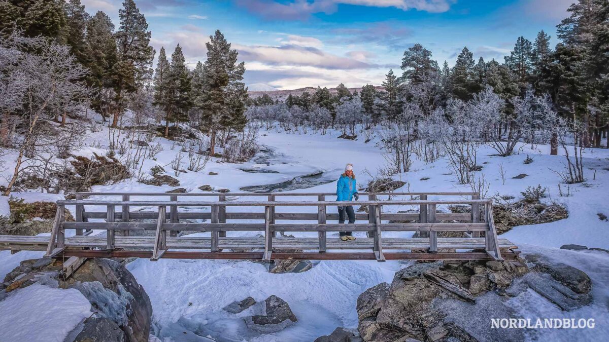 Wanderung Kungsleden Abisko - Winterziele in Skandinavien mit Wohnmobil