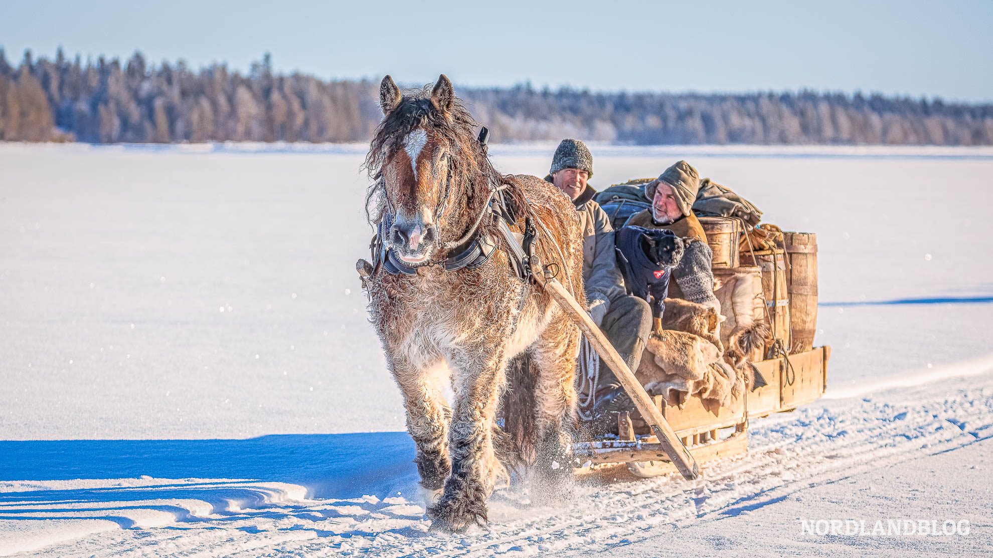 Zum Rorosmartnan - Winterziele in Skandinavien mit Wohnmobil