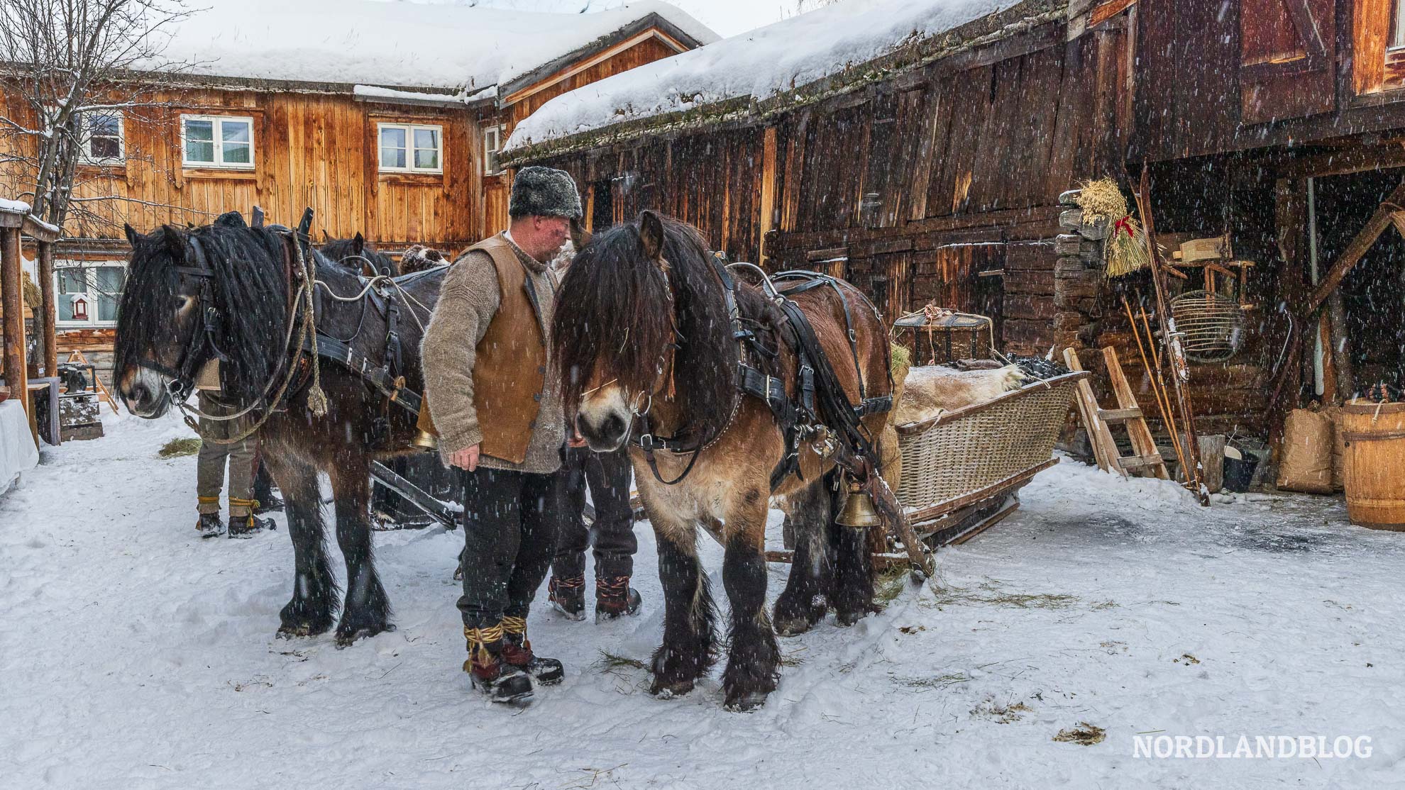 Am Tag der Eröffnung des Wintermarktes in Roros