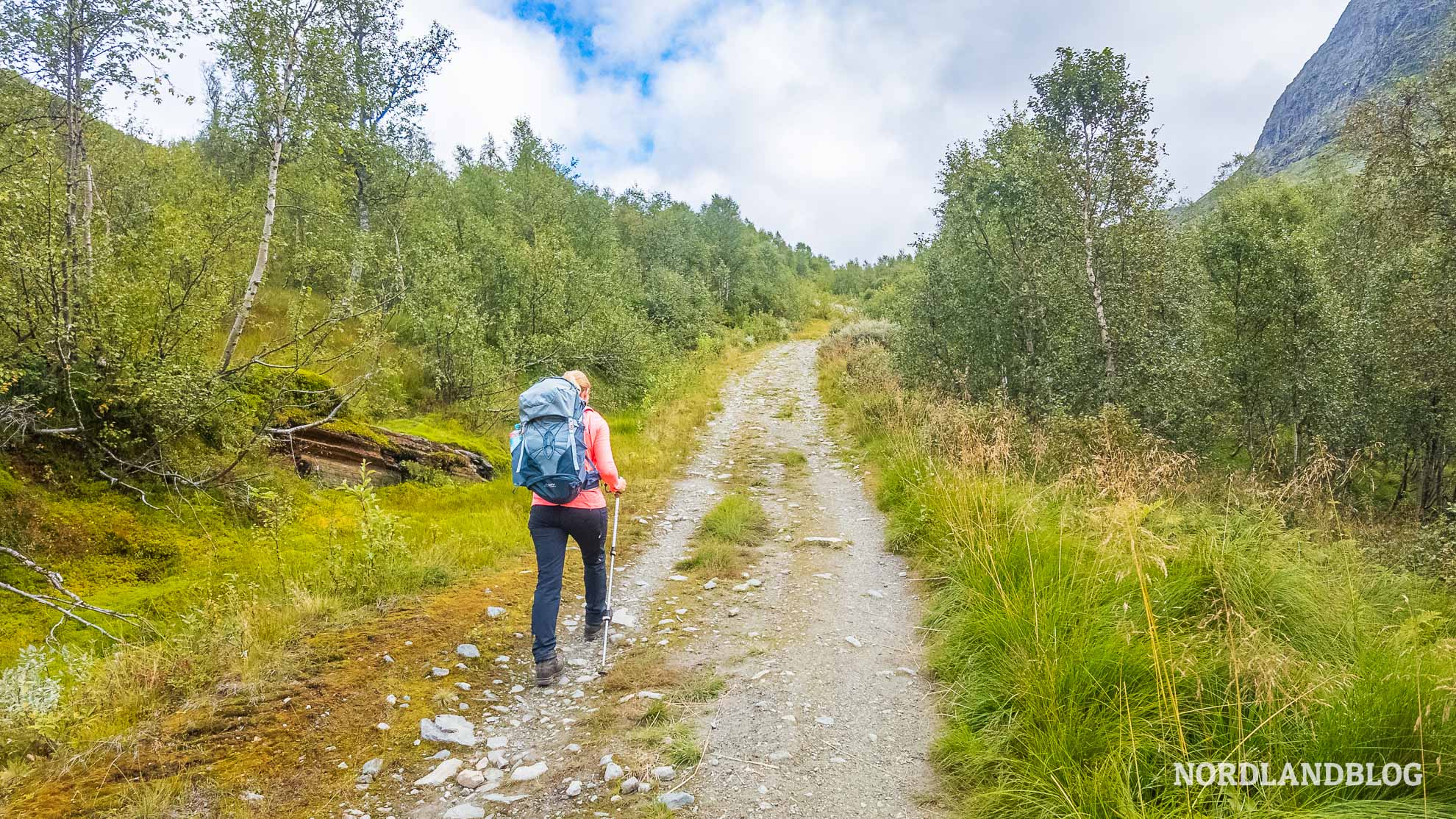 Aufstieg-Alm-Wanderung-Bakkanosi-Norwegen