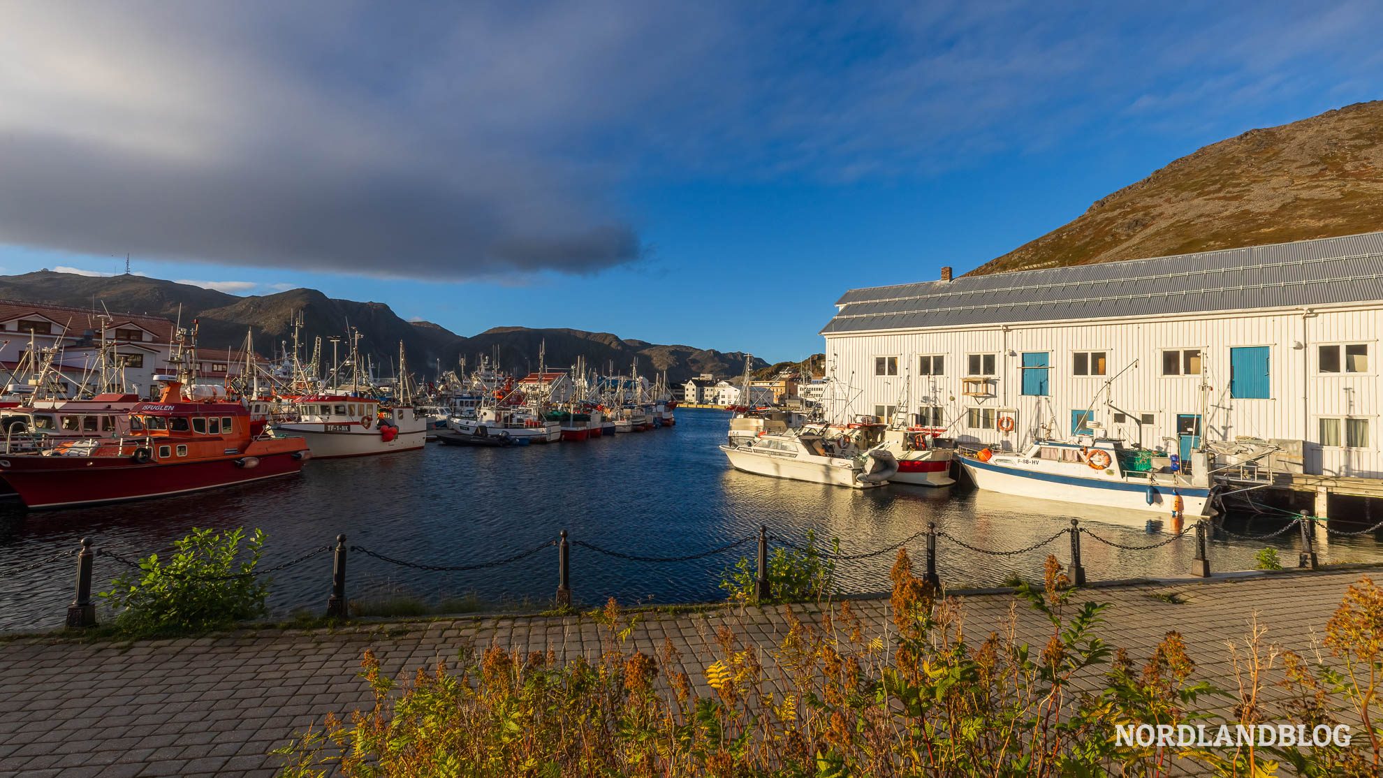 Hafen Honningsvag Mageroya Highlights Nordkap Norwegen