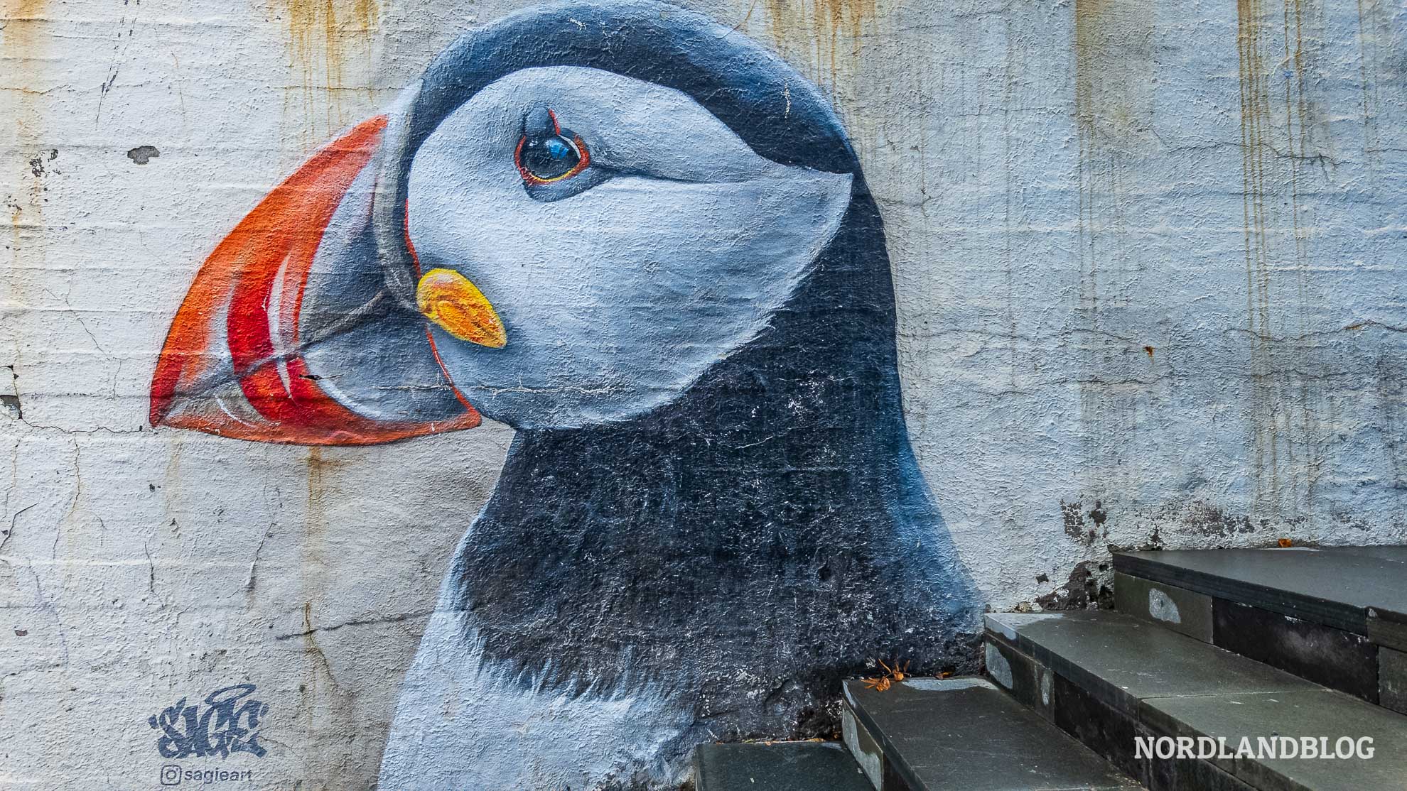 Papageitaucher Streetart Honningsvag Nordkap Highlights Nordnorwegen