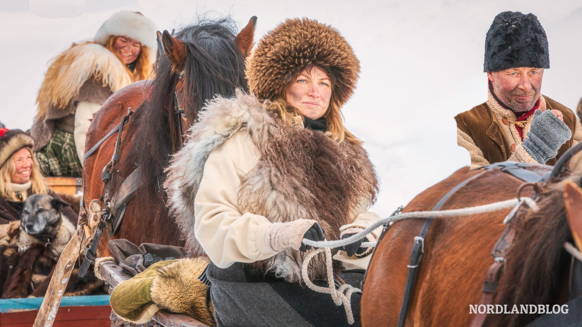Schlittenführerin Wintermarkt in Roros