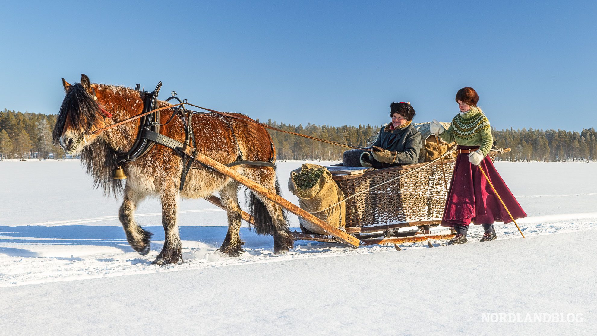 Schlittenkarawane auf dem Weg nach Roros