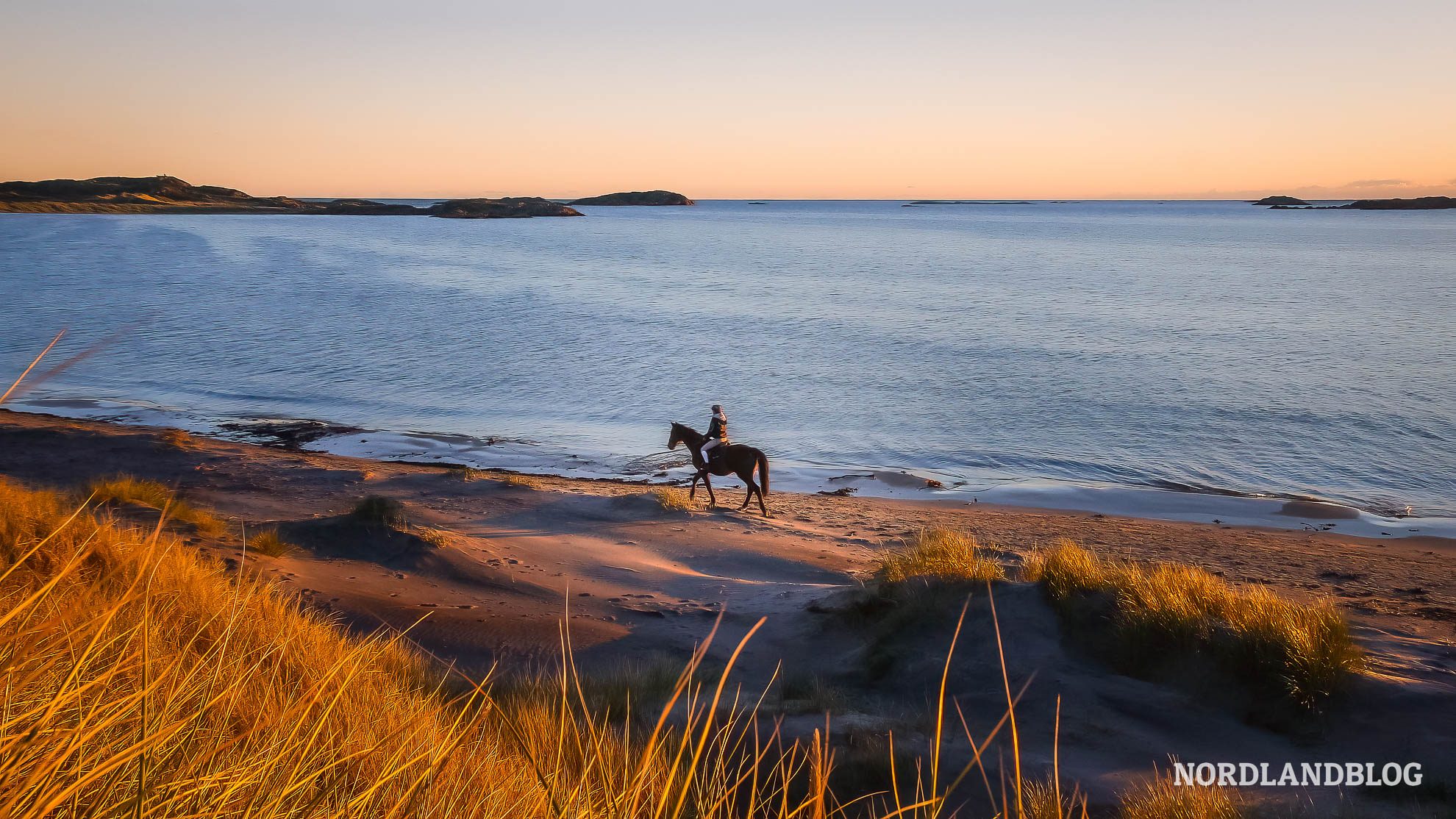 Reiterin Strand Vanse Halbinsel Lista Norwegen
