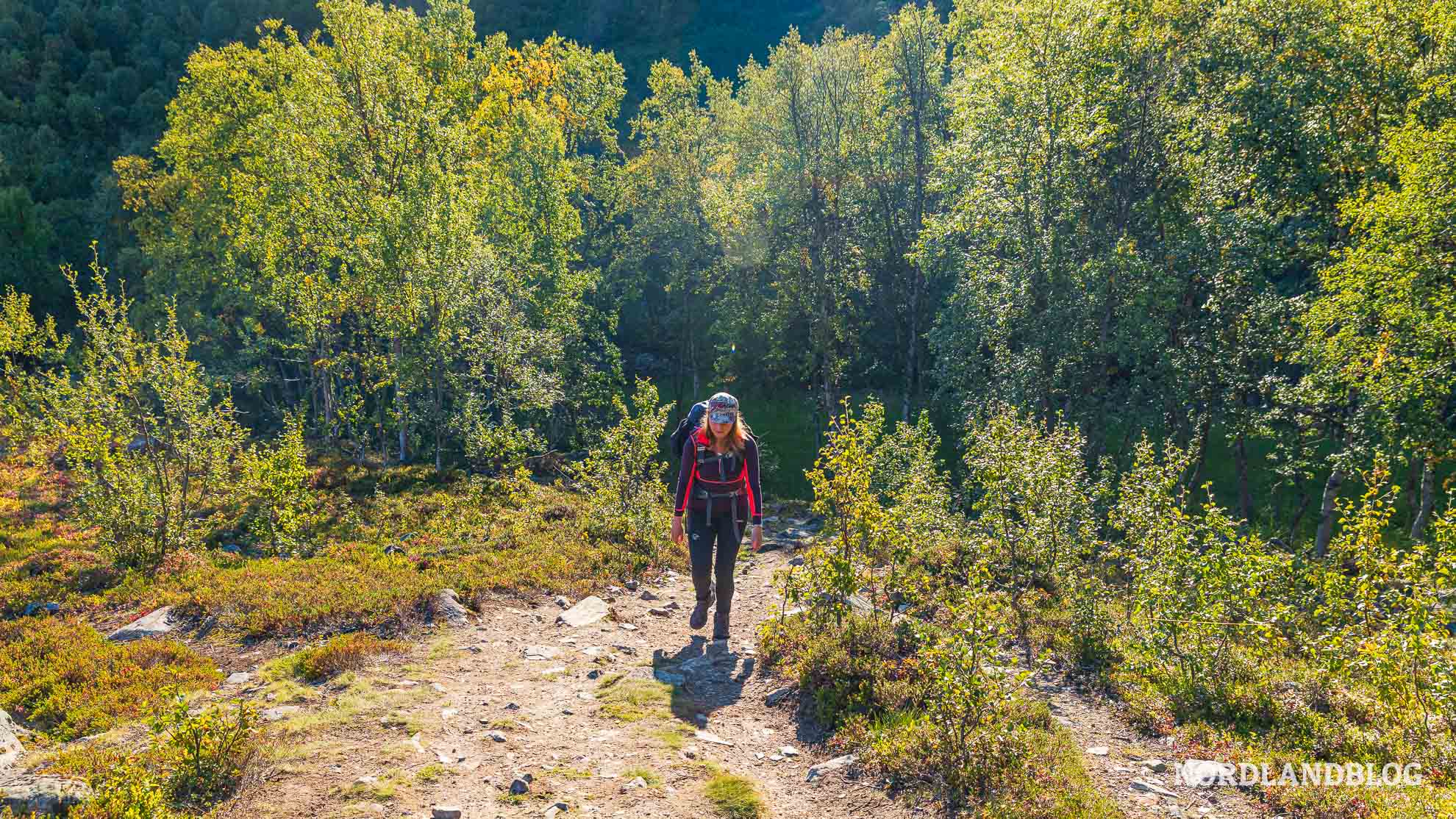 Wanderweg Steindalen Lyngenalpen Norwegen Steindalsbreen
