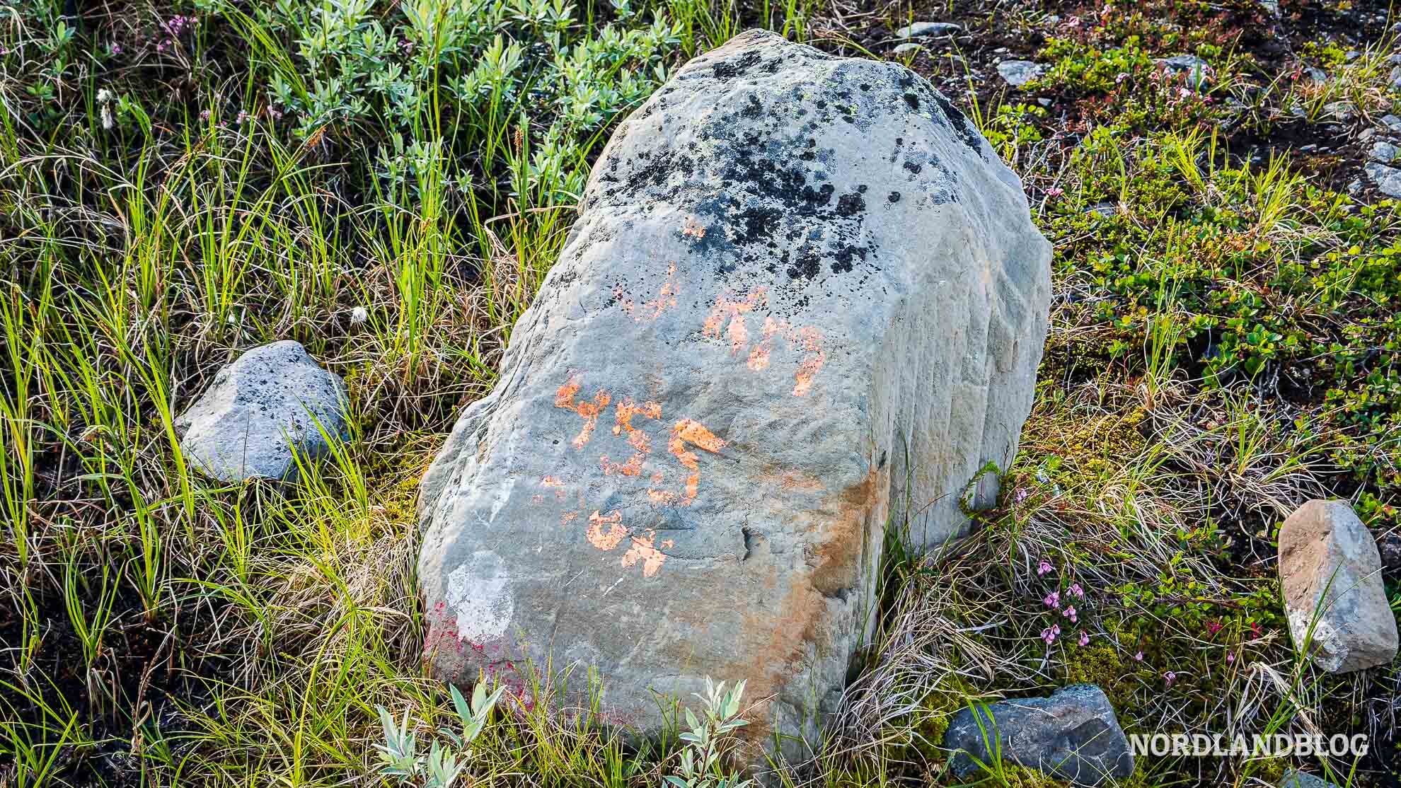 Markierung 455 Hoehenmeter Wanderung Haldde Haldetoppen Nordlichtobservatorium Alta Norwegen Finnmark