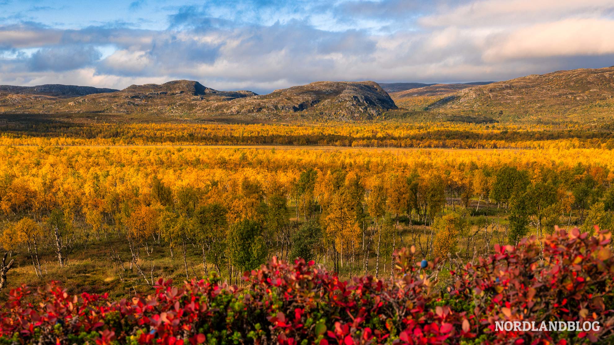 Landschaft neben der E6 Bugoynes Finnmark Nordnorwegen