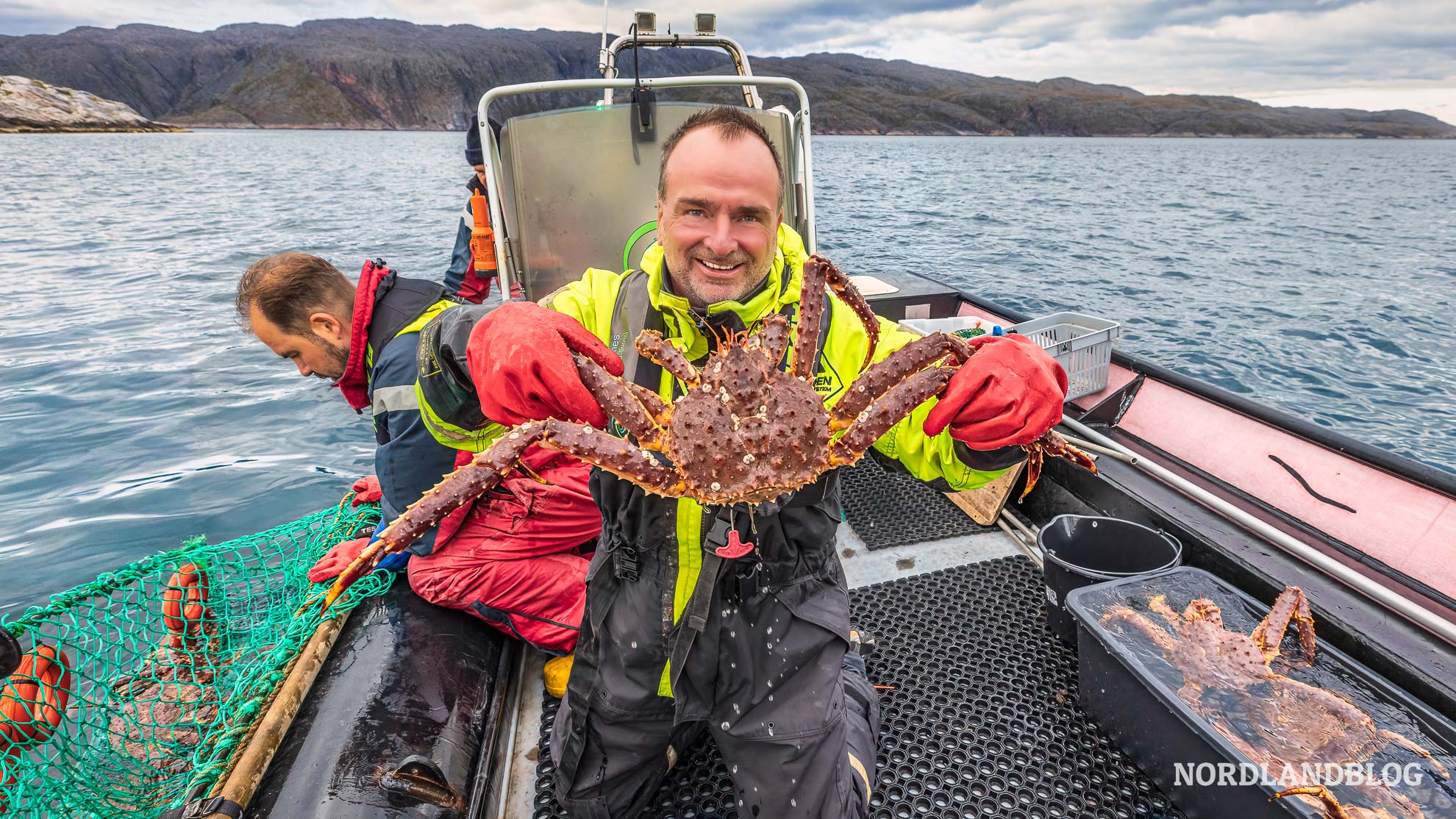 Sirko Königskrabbe Bugoynes Finnmark Nordnorwegen