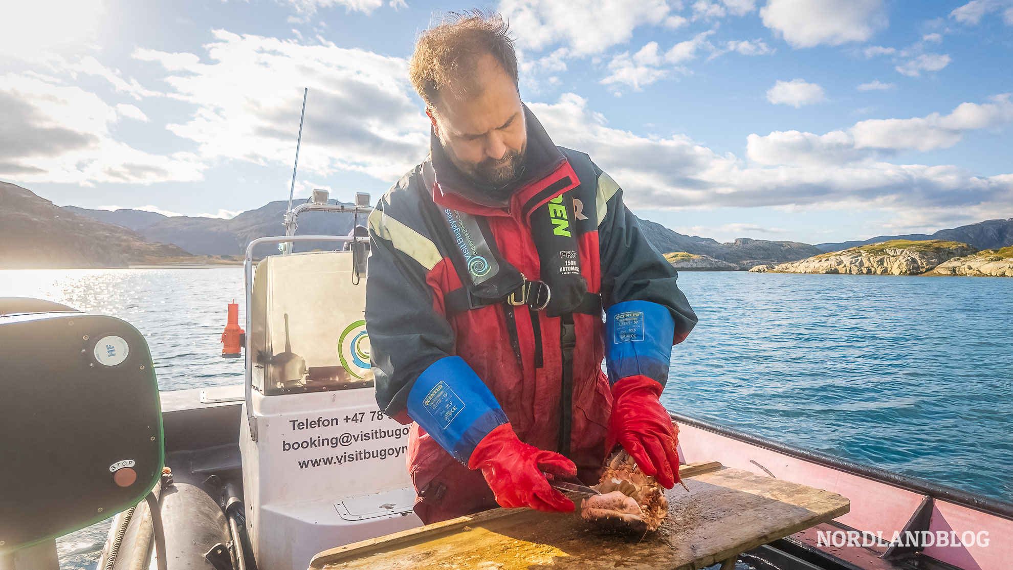 Königskrabben Varangerfjord