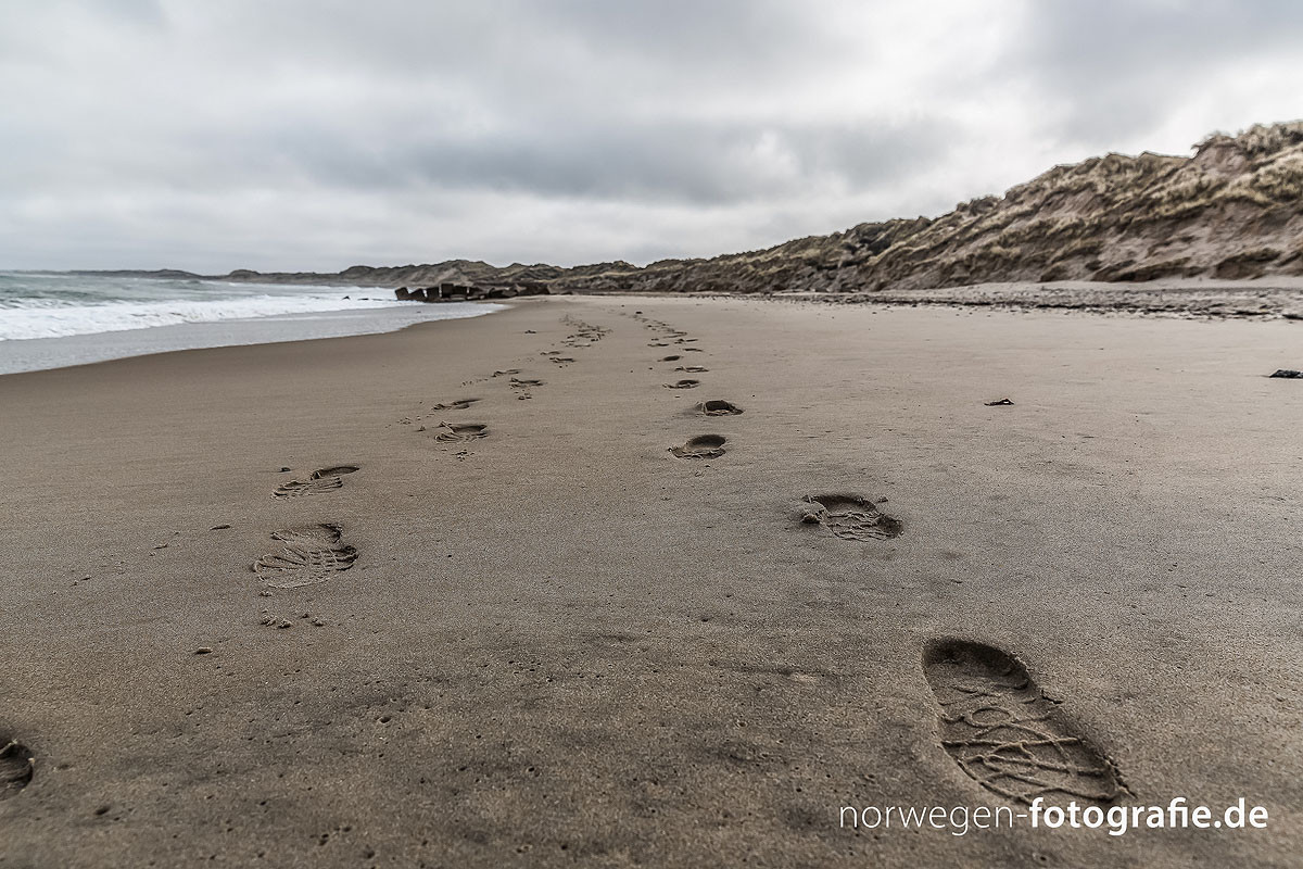 Zwei Spuren im Sand am Strand von Dänemark