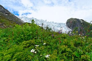 Bild vom Gletscher Flatbree, einem Gletscherarm des Jostedalsbreen in Norwegen