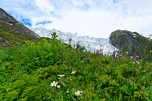 Bild vom Gletscher Flatbree, einem Gletscherarm des Jostedalsbreen in Norwegen Bild vom Gletscher Flatbree, einem Gletscherarm des Jostedalsbreen in Norwegen