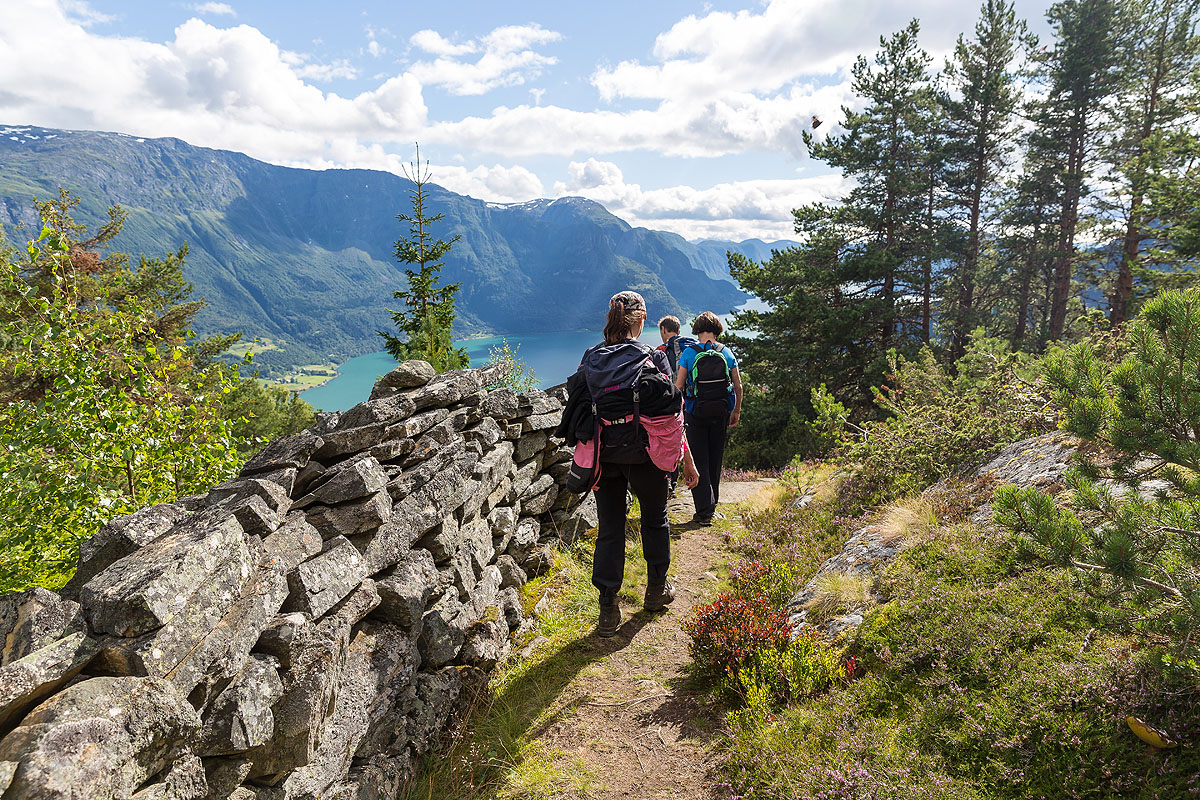 Der Weg ist das Ziel (Norwegen / Luster / Nordlandblog)