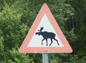 Bild von einem Verkehrsschild mit einem Elch in Norwegen