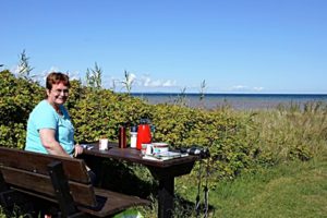 Märchenhafter Urlaub auf der Insel Fünen - dem Garten von Dänemark Märchenhafter Urlaub auf der Insel Fünen - dem Garten von Dänemark - Urlaub, Storebelt, Storebæltbroen, Lillebæltbro, Insel, Gastbeitrag, Fünen, Brücke - sehen-erleben, daenemark - Unsere Gastautorin Heike Pfennig berichtet von einem traumhaften Aufenthalt auf der Insel Fünen im Osten von Dänemark - einem idyllischen Reiseziel mitten in der Ostsee gelegen.