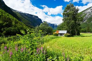 Bild von einem sehr schönen Tal mit dem Namen Romsdalen in Norwegen - Fahrt zum Bauernhof in Norwegen
