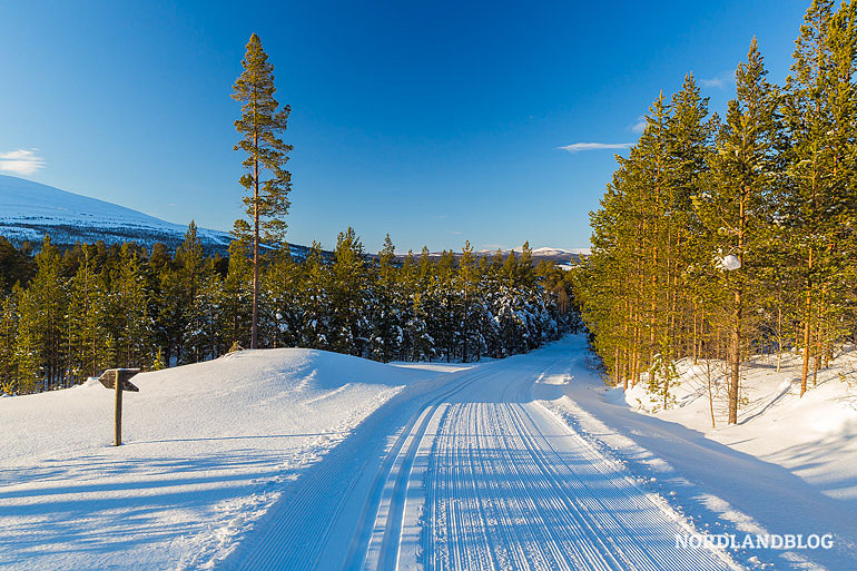 Skiloipe in Os (Hedmark) Skiloipe in Os (Hedmark)