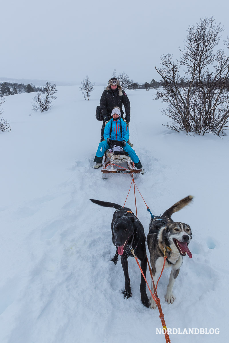 Conny und Sirko mit dem Hundeschlitten im Fjell von Norwegen.