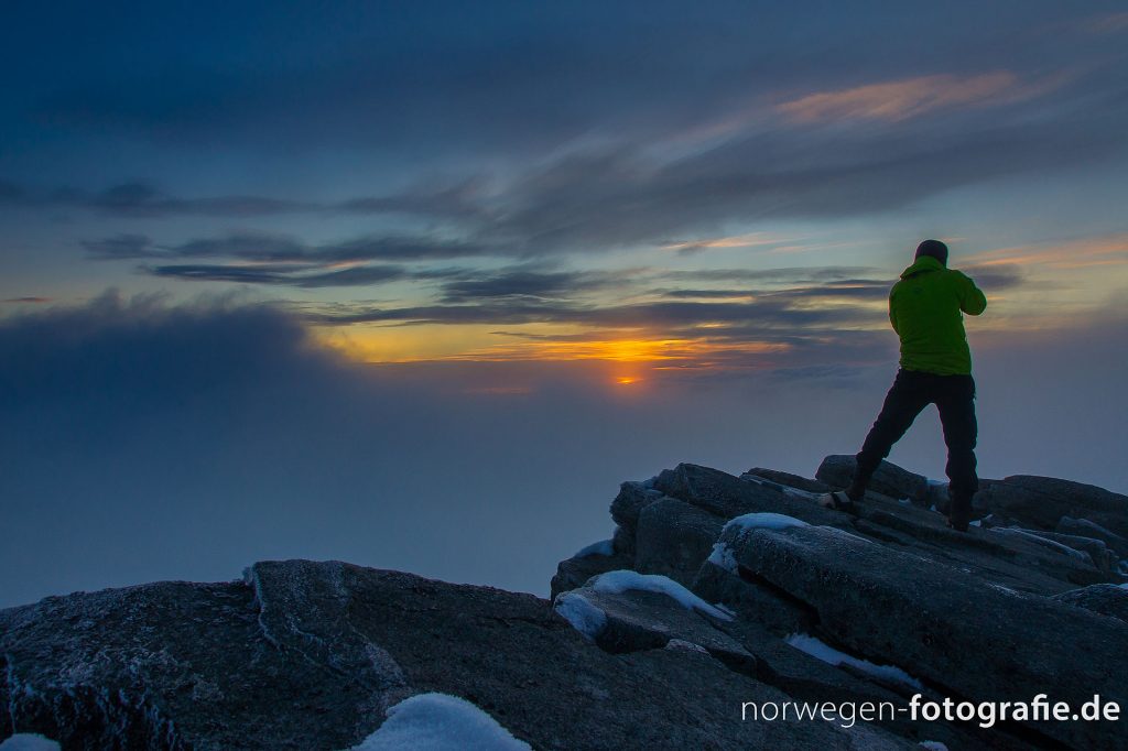 Bild von Sirko auf dem Berg Fanaråken in Norwegen Bild von Sirko auf dem Berg Fanaråken in Norwegen