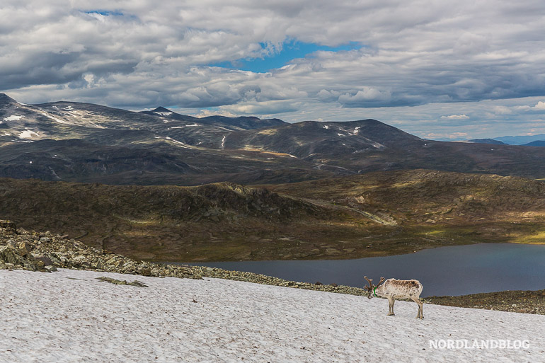 Wanderung über den Besseggen - Populäre Tour in Norwegen