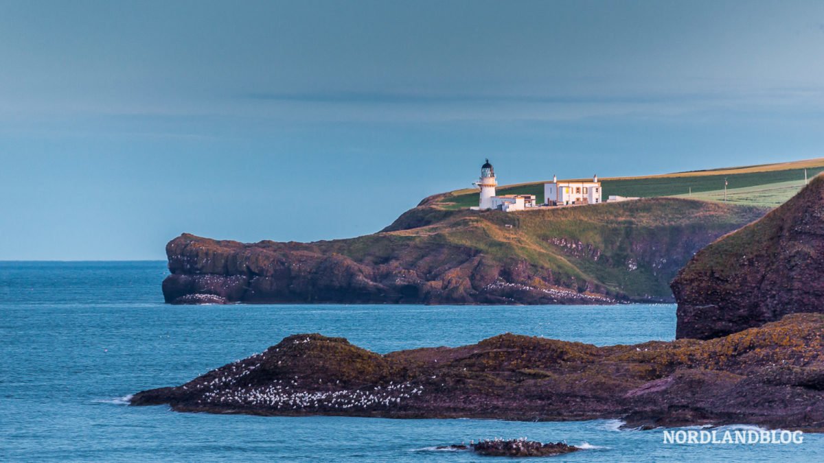 Roadtrip durch Schottland mit dem Kastenwagen - von Edinburgh bis Inverness (Teil 2/5) Roadtrip durch Schottland mit dem Kastenwagen - von Edinburgh bis Inverness (Teil 2/5) - Scotland Explorer Tour, Runrig, Roadtrip, Küste, Kastenwagen, Inverness, Highlands, Castle, Alba - schottland-rundreisen -