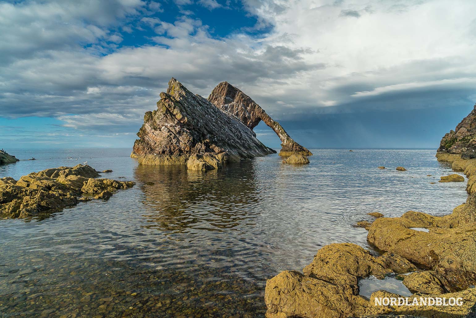 Felsen Bass Fiddle Rock an der Ostküste von Schottland (Kastenwagen-Roadtrip)