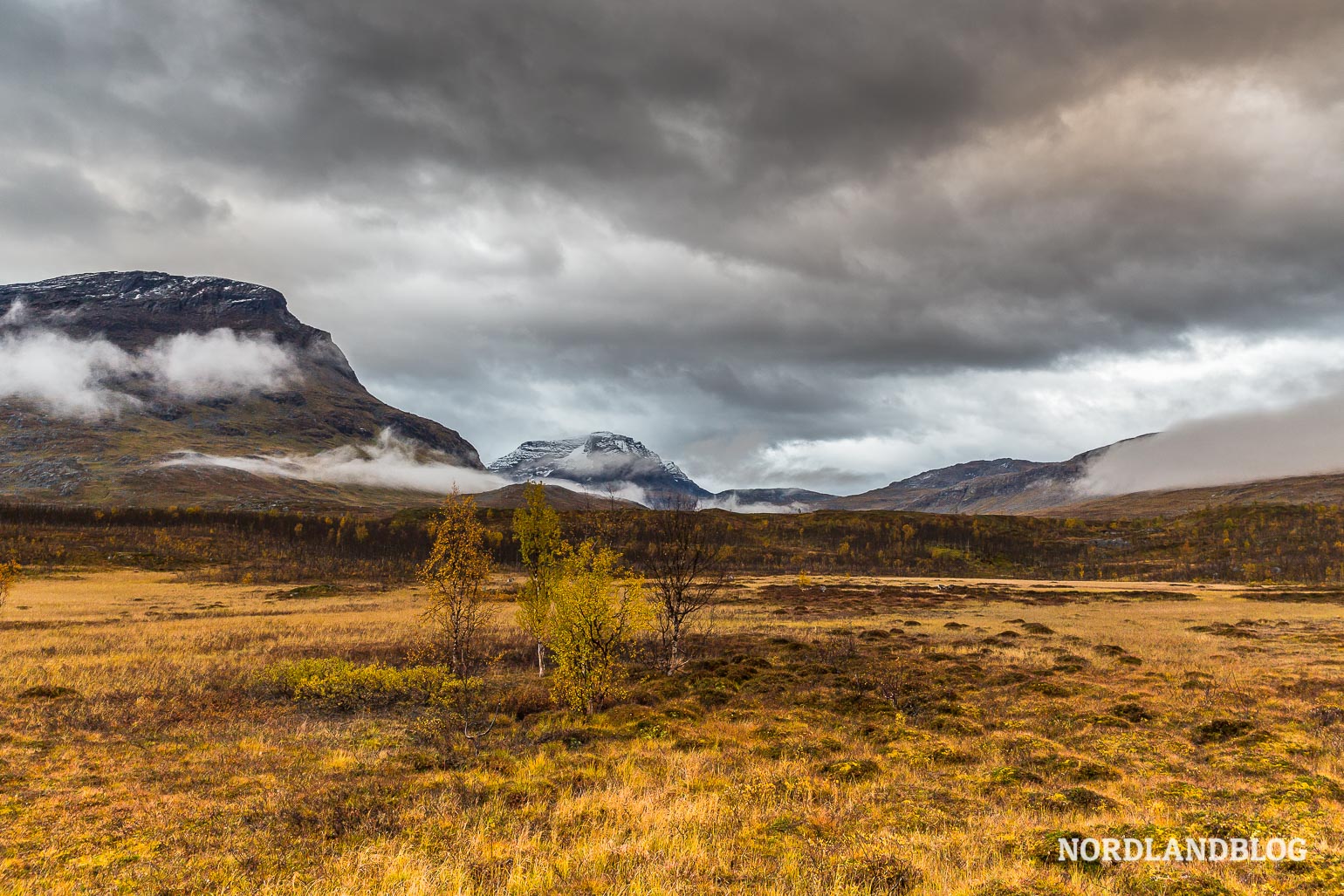 Auf dem Weg durch Schweden auf die Lofoten in Norwegen