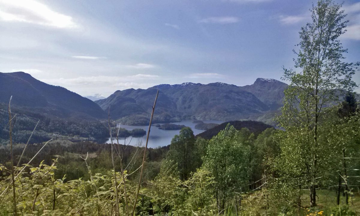 Hålandsdalen in der Region Hordaland (Norge).