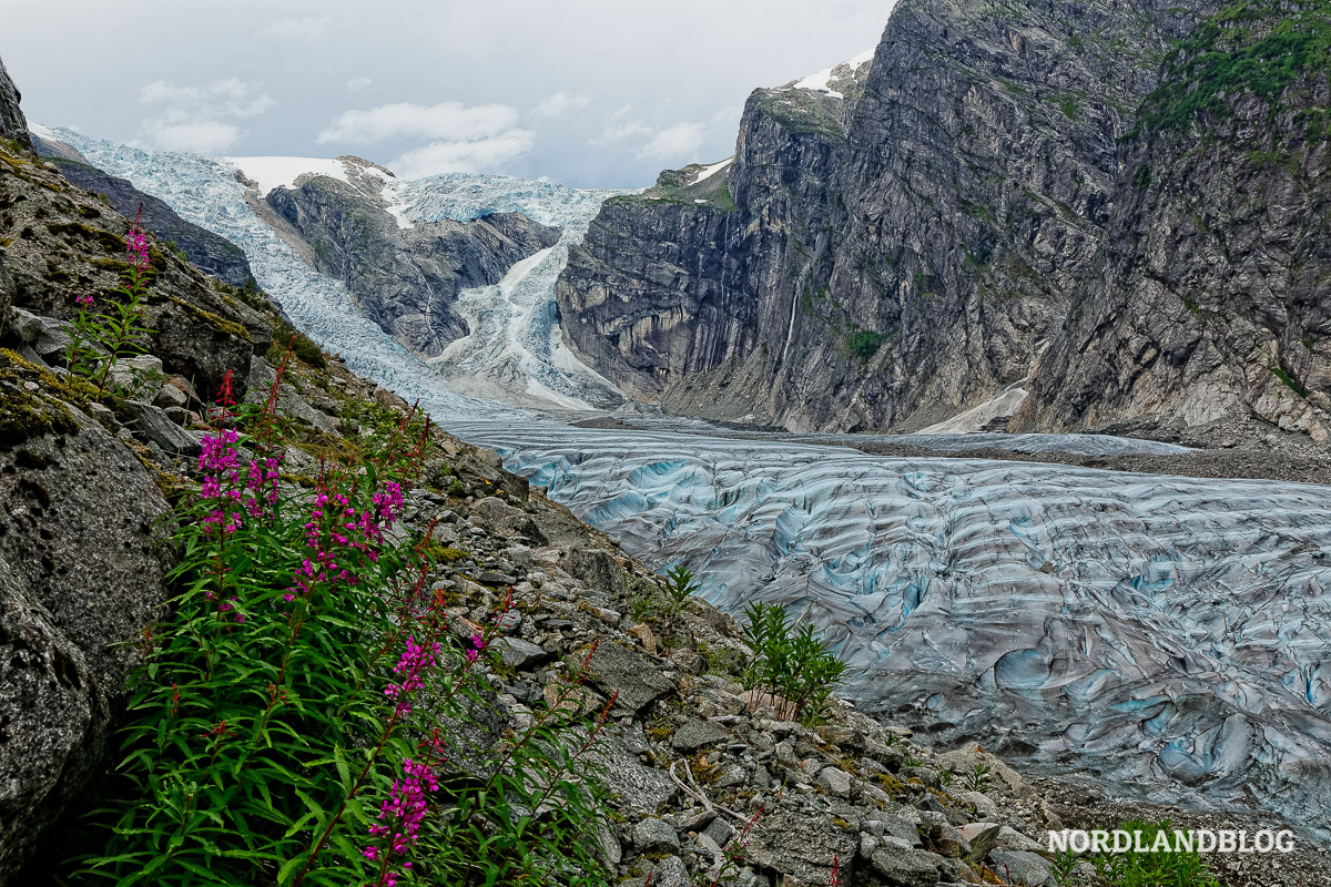 Bild vom Gletscher Austerdalsbreen in Luster am Sognefjord